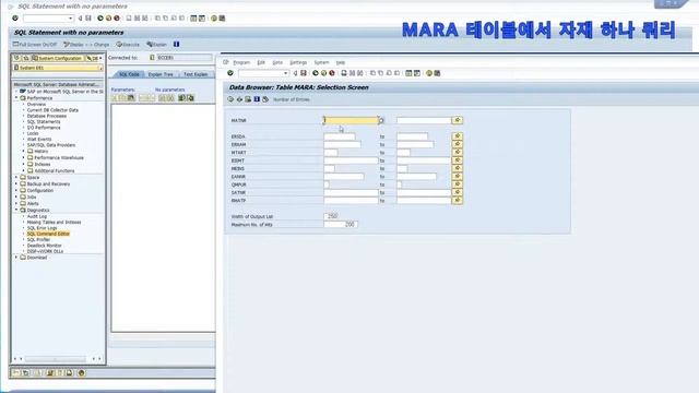 SAP SQL Command Editor - ST04 смотреть онлайн