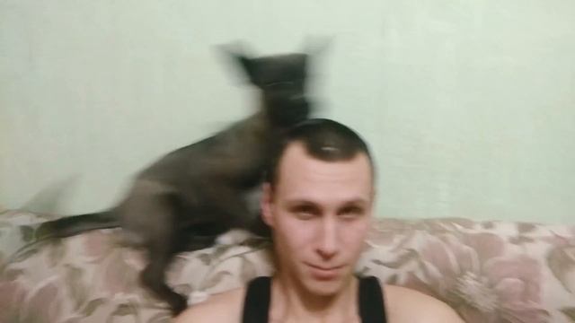 Когда не разрешают на кровать, а тебе очень хочется поцеловать хозяина ? смотреть онлайн