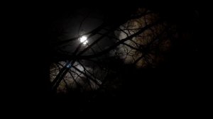 Прикосновение. Мистическая история.