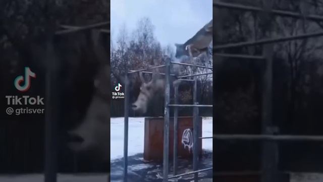 если сел твой телефон смотреть онлайн