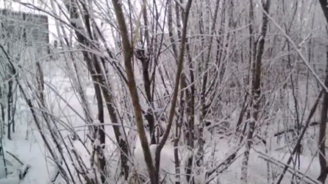 Якутия Нерюнгринский район поселок Чульман Якутяночка моя 💖 смотреть онлайн