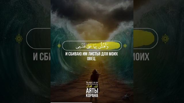 Та Ха🎙 Чтец - Muhammad Siddiq Al Minshawi #ruquran #keşfet #quran смотреть онлайн