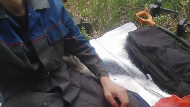 Копаю 2 дня на полях в Могилёве,чтобы найти это.#могилевonline #metaldetectorhobby #belarus #канал смотреть онлайн