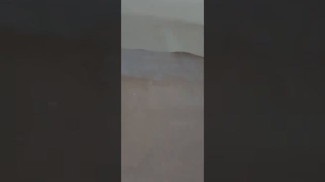 Заделка швов в гипсокартоне на потолке ч.1 смотреть онлайн