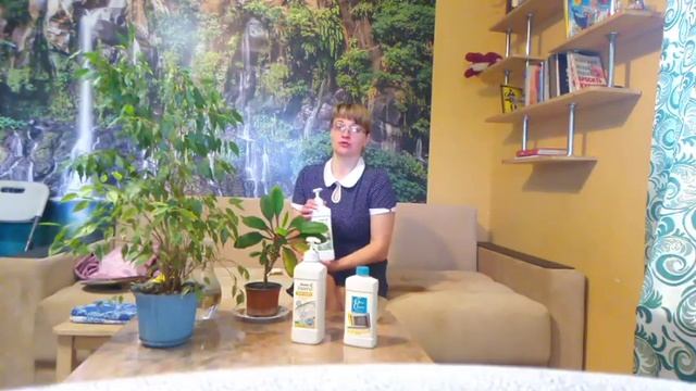 #безопасные, экологически чистые средства для уборки дома смотреть онлайн