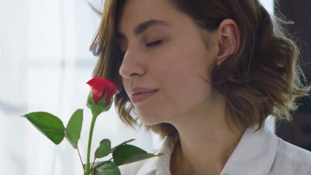 RED - ПП шоколад без сахара смотреть онлайн