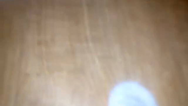 Как прорастить семена мандарина и других цитрусовых смотреть онлайн