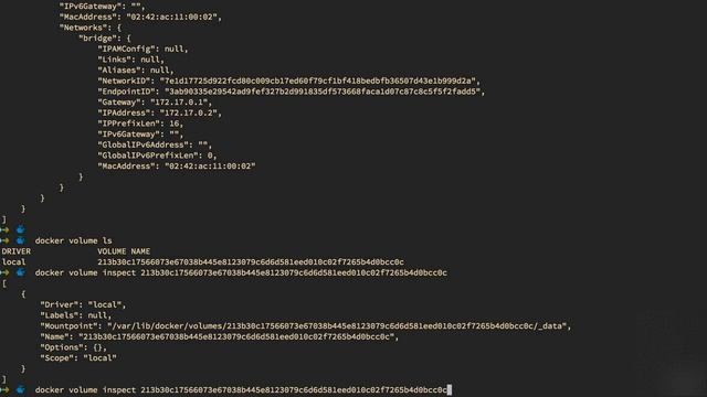 Different types of volume mounts смотреть онлайн