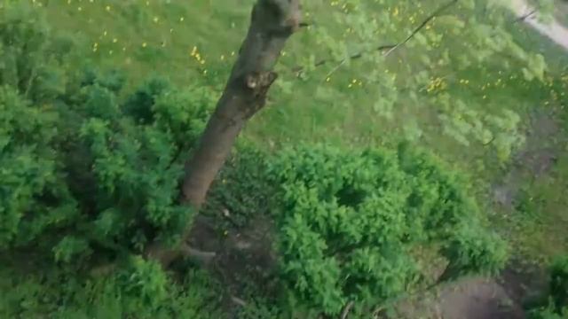 Мой двор в Гатчине смотреть онлайн