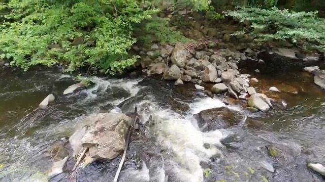 Путешествие по ущелью у реки реки - 1 Тале Гарц (Harz) Германия смотреть онлайн