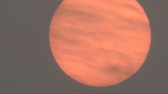 Nikon P510 Zoom on morning sun смотреть онлайн