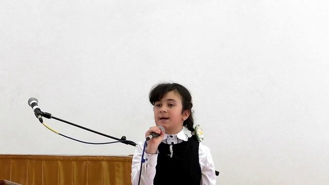 Стих У дикого гуся могучие крылья 27 03 16 смотреть онлайн