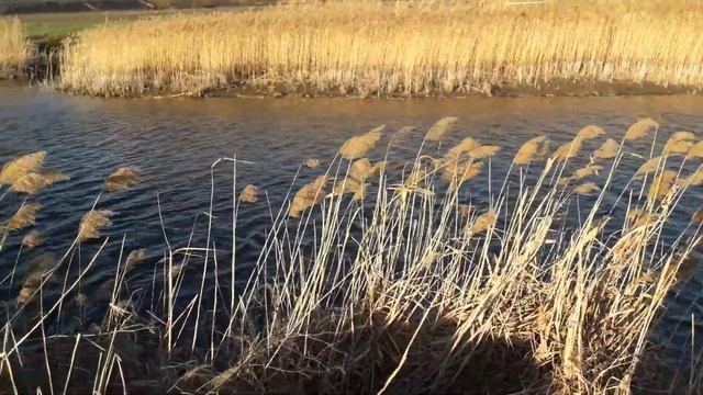 ПОИСКОВЫЙ МАГНИТ! СЕНСАЦИОННЫЙ АРТЕФАКТ!SEARCH MAGNET! SENSATIONAL ARTIFACT!