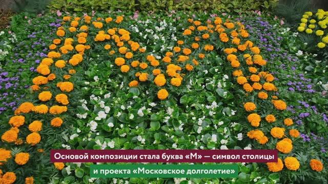 Активисты "Московского долголетия" высадили авторскую цветочную композицию на Красной площади смотреть онлайн
