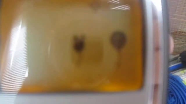 телефон Siemens A57