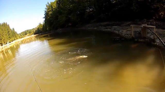 Ловля щуки нахлыстом. Щучьи свечки. Щуки монстры. (梭子鱼 怪物派克) смотреть онлайн