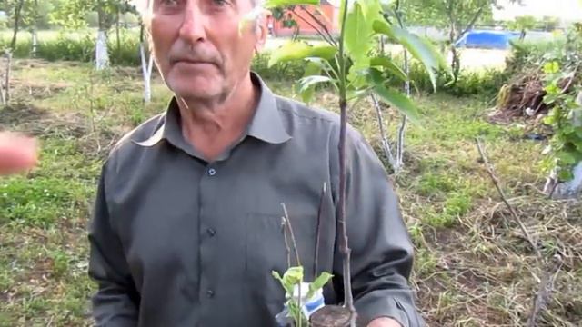 В гостях у Митаева Руслана Чеченский труженник смотреть онлайн