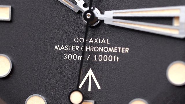 James Bond Watch Review! | Omega Seamaster Diver 300M 007 Edition 2 Weeks Later смотреть онлайн