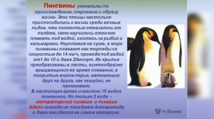 Кто такие птицы?1 класс