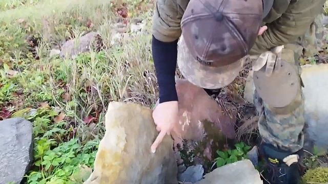 ПОИСК монет и старины с Deus2 и E-TRAC.  #коп #metaldetecting #металлоискатель