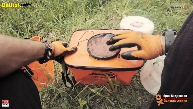 #Ловим сома.Наживка пиявка-лягушка-рак как поймать? как сохранит?Видео снято на Garmin VIRB® XE смотреть онлайн