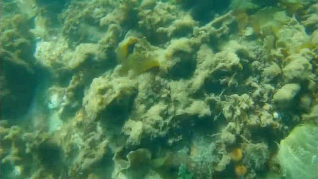 Magadan 13 04 17 смотреть онлайн