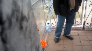 Могилка Пелагеи Рязанской.