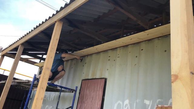 Зелёное есть нельзя :)) чихуахуа сдуло с доски смотреть онлайн