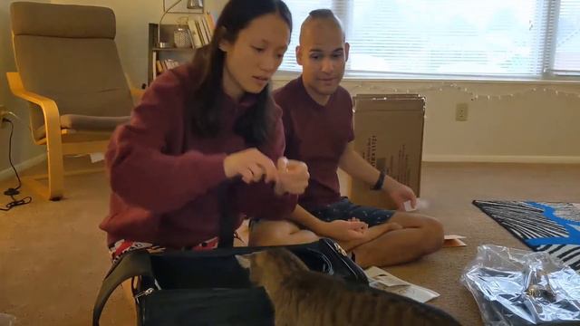 Unboxing: Sherpa Delta Travel Pet Carrier | vlogmas #13 смотреть онлайн