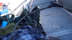 Рыбалка в Рассказихе. Протока Заломная.