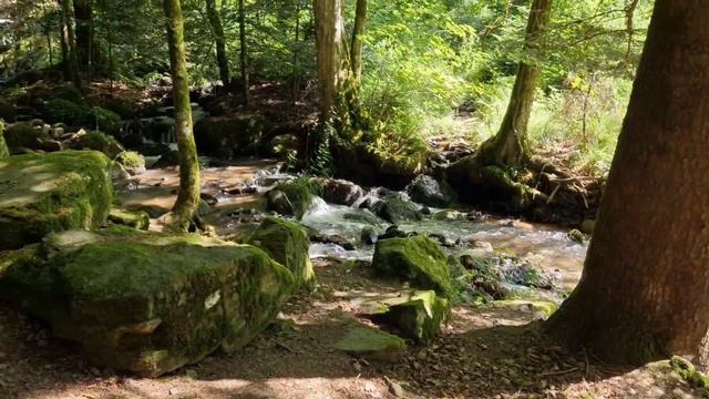 Течёт ручей, звенит ручей, поёт лесной ручей.