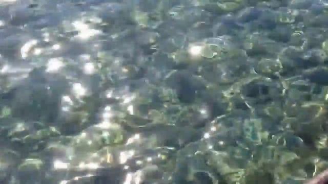 Черепашья бухта, Северный Кипр смотреть онлайн