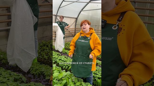 ЗАКАЛЕННАЯ РАССАДА смотреть онлайн