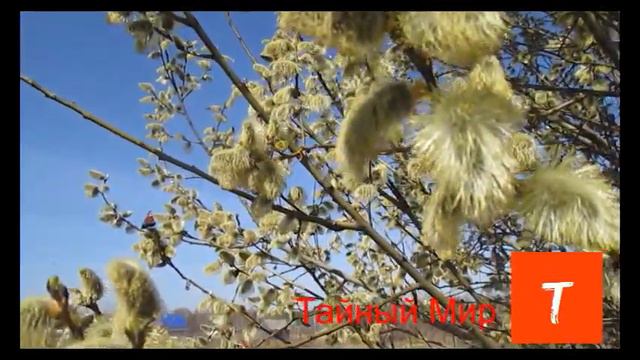 В чем смысл жизни смотреть онлайн