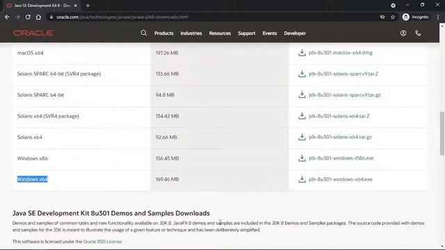 How to install Java on Windows 10? Step by Step Java Installation in 3 min with environment variabl смотреть онлайн