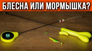 Блесна или мормышка, что использовать на незнакомом водоеме.