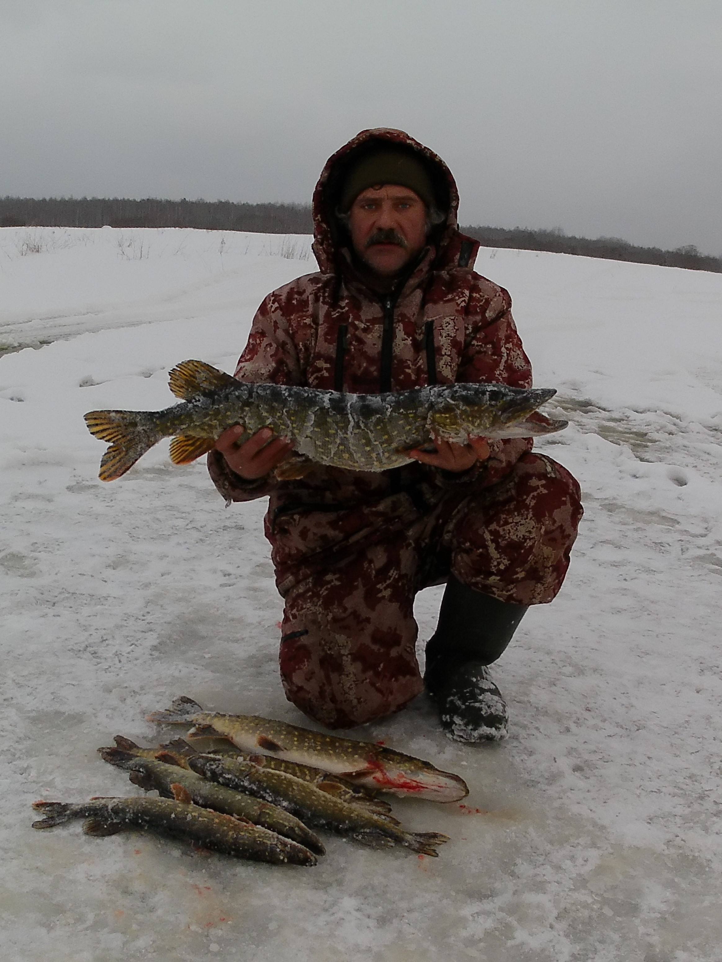 Если щука есть - значит она должна есть! (2)