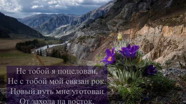 СЕРГЕЙ ЕСЕНИН "ТАМ, ГДЕ ВЕЧНО ДРЕМЛЕТ ТАЙНА..." смотреть онлайн