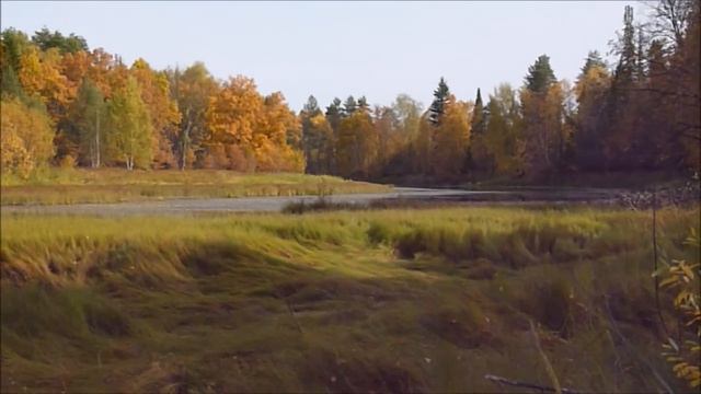 День туриста. Шиповник на зиму.Прогулка по окрестностям.Что делать с помидорами?