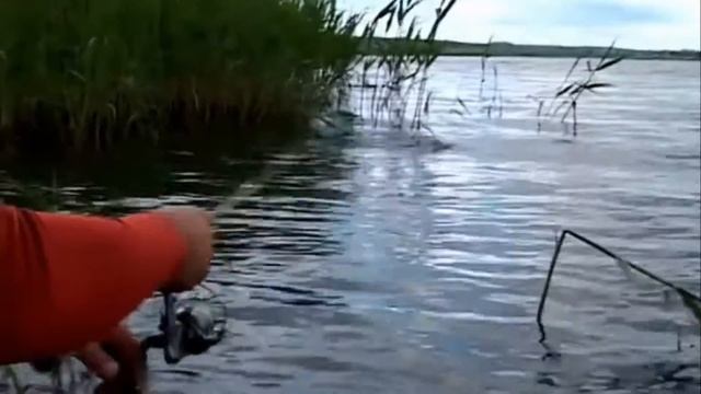 А я рыбалочку люблю смотреть онлайн