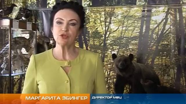 Проект 611 шагов к звёздам смотреть онлайн