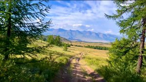 Я на Алтае. Продолжение. Часть 2.