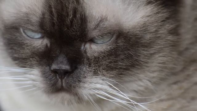 Моя бывшая свекровь просила меня пустить к себе пожить своего сына, хотя я уже была замужем. смотреть онлайн