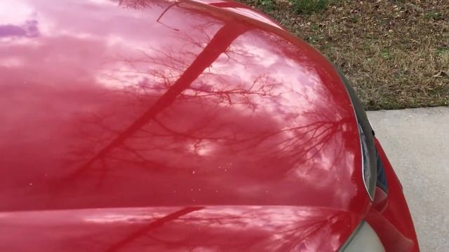 Update On The Spectra5!