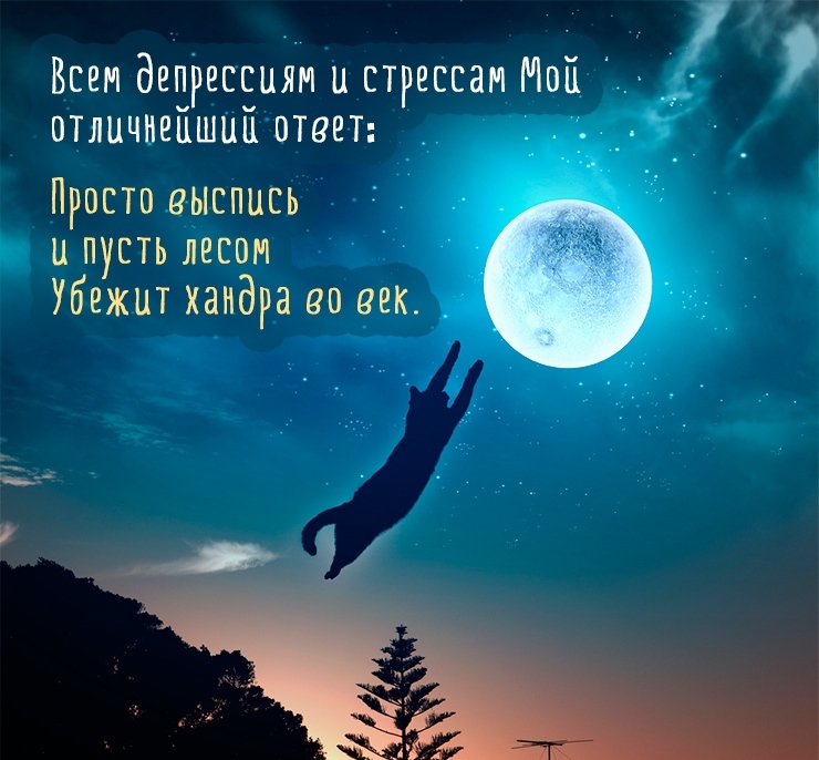 Добрый вечер и спокойной ночи! Музыкальная открытка с тёплыми пожеланиями 🌙💤