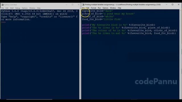 Week 3 - Video 5 -Print many variables | Variables & Datatypes | Python in Tamil for school student смотреть онлайн