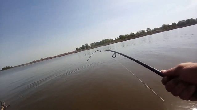 Он не поднимается со дна! Спиннинг в дугу! Ловля судака на джиг. смотреть онлайн
