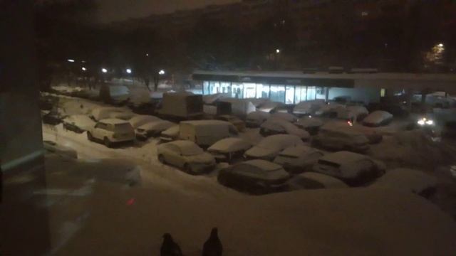 Сизари.Выживание. смотреть онлайн