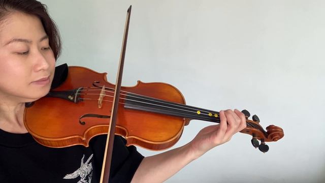 ABRSM Grade 7 Dimished Sevenths Starting On D 2 Octaves