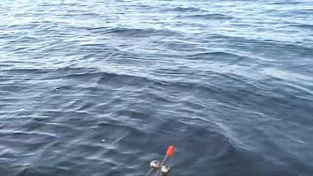 саратов рыбалка на кольцо смотреть онлайн